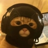 luxuryyab