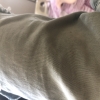 03115460313