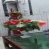 AbdulHaseeb077