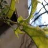 abdulqadir7224