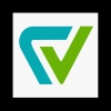 cybervibers