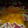RIMSHAIQBAL567