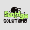 SeoEdgeSolution