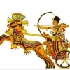 aboueleash