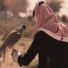 a7trafe