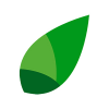 afreshleaf