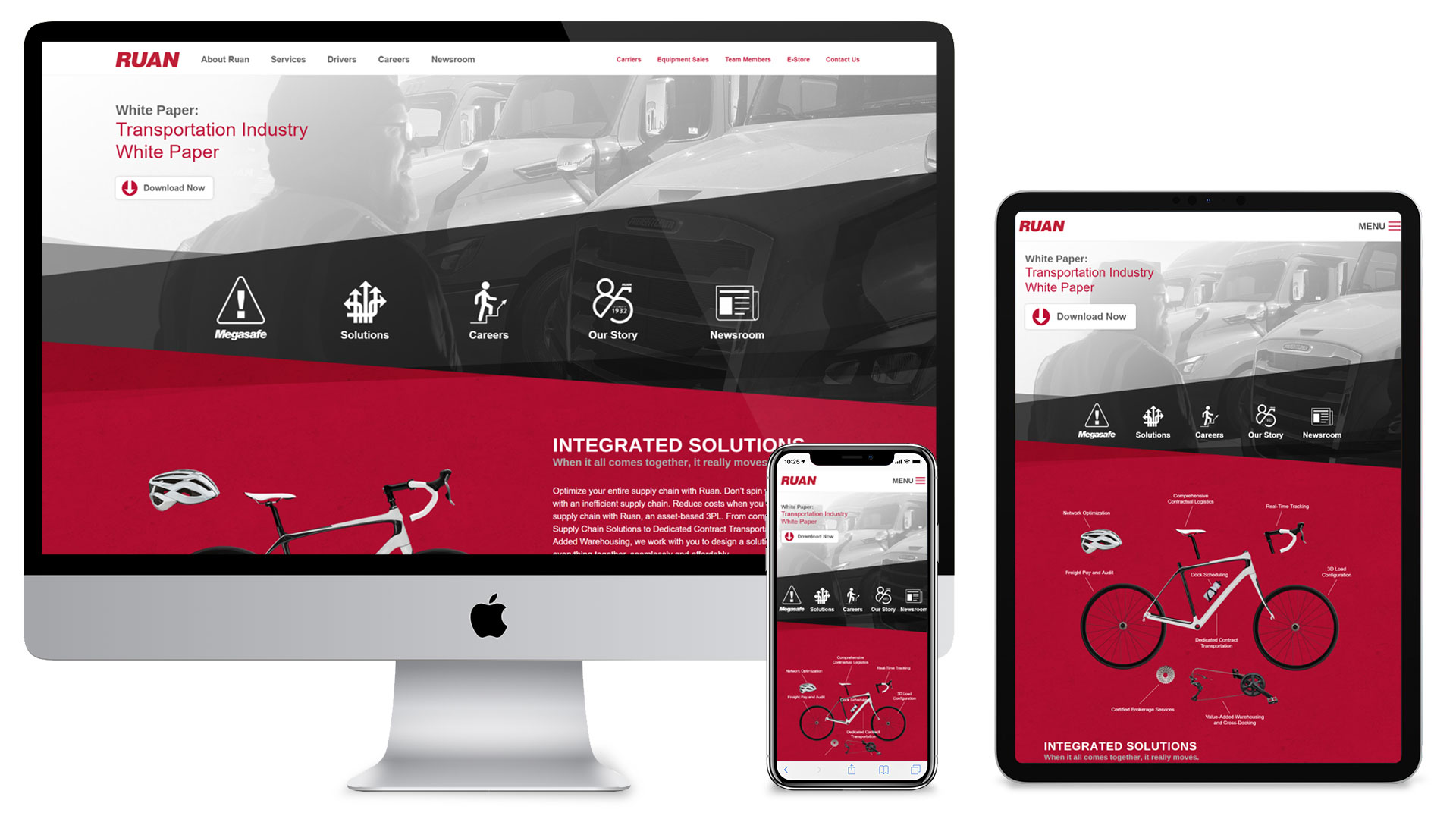 Professional WordPress Website Design within 10 hour