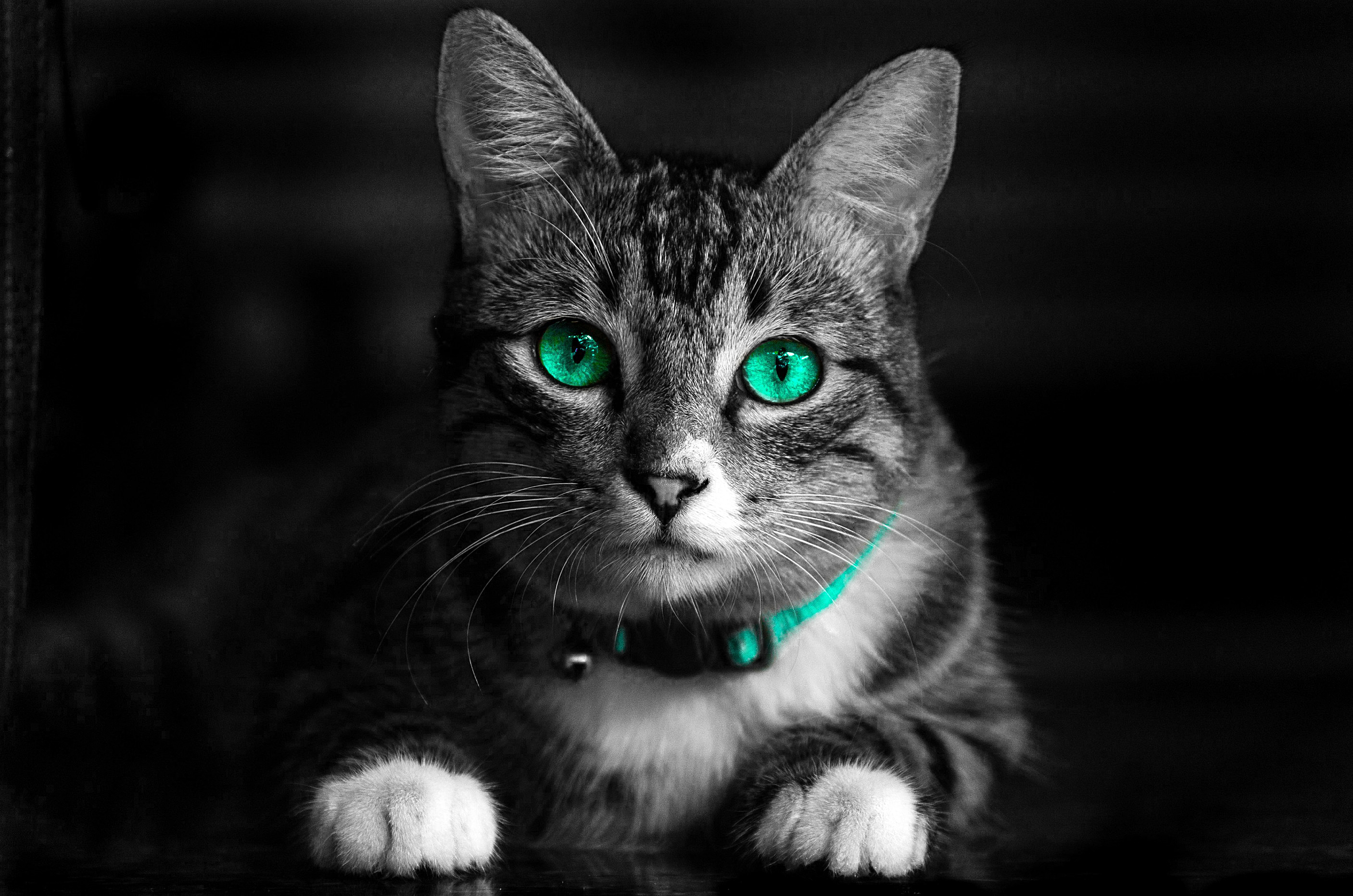 10 images Add Black And White your pictures
