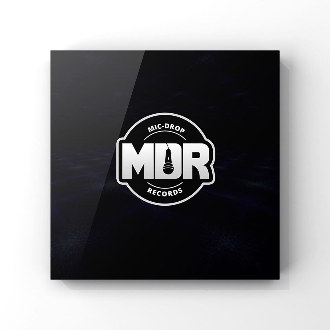 I will design your professional logo and brand identi...