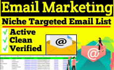I will provide per 1k 1 Doller an active niche target...