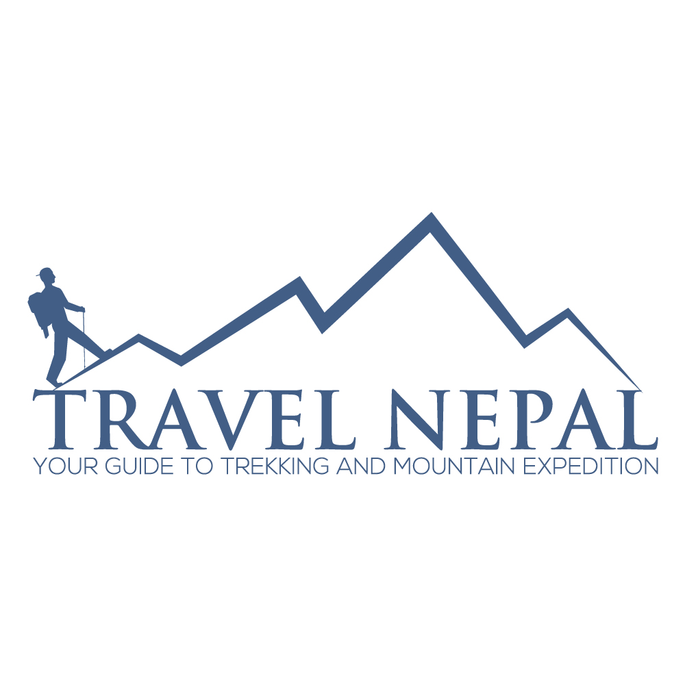 2 logo designs with two revisions