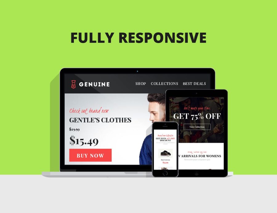 FULLY responsive Viway Email Marketing Templates with FULL rights