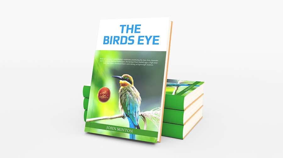 Book Cover Design Professionally