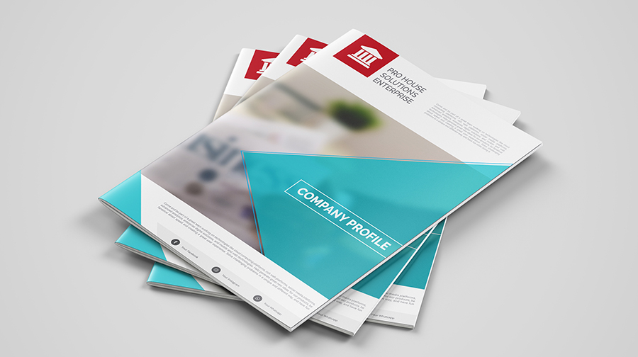 Design Company Profile Business Brochure, Or Annual Report
