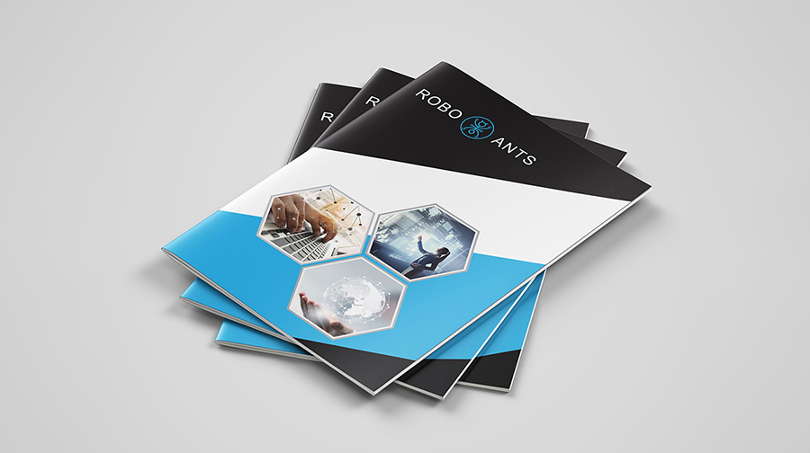 Design Company Profile Business Brochure, Or Annual Report