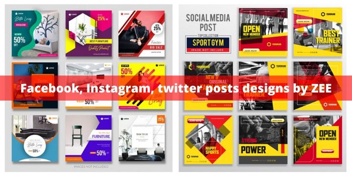 create custom and profesional social media posts designs