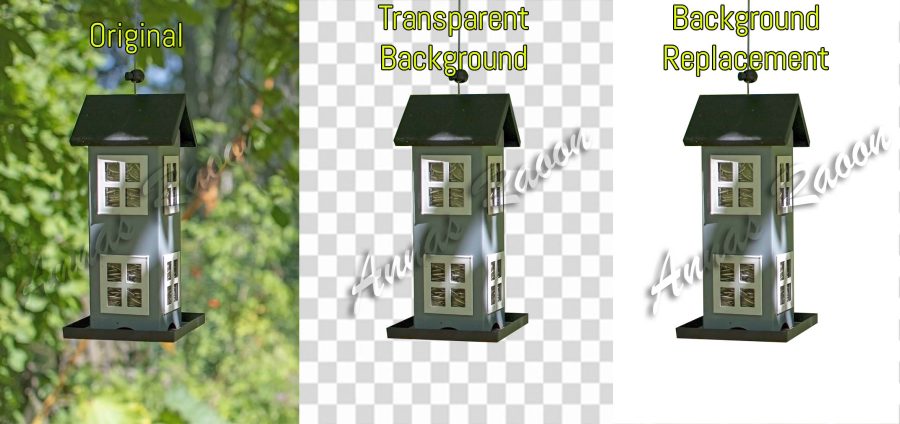 25 Product Images Background Removal Professionally in 24 hours