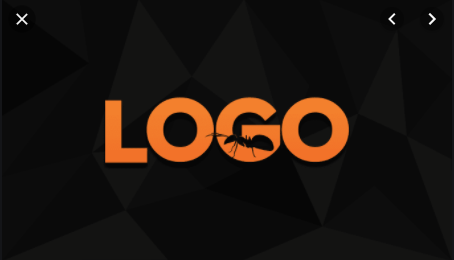i will design amazing logo or banner for you
