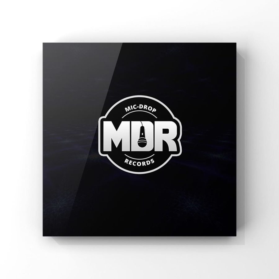 I will design your professional logo and brand identity