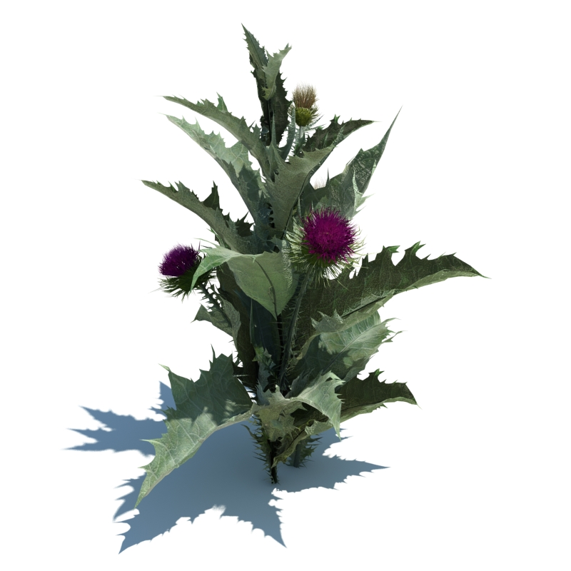 I Will Give You 50Go 3D Archmodels from evermotion