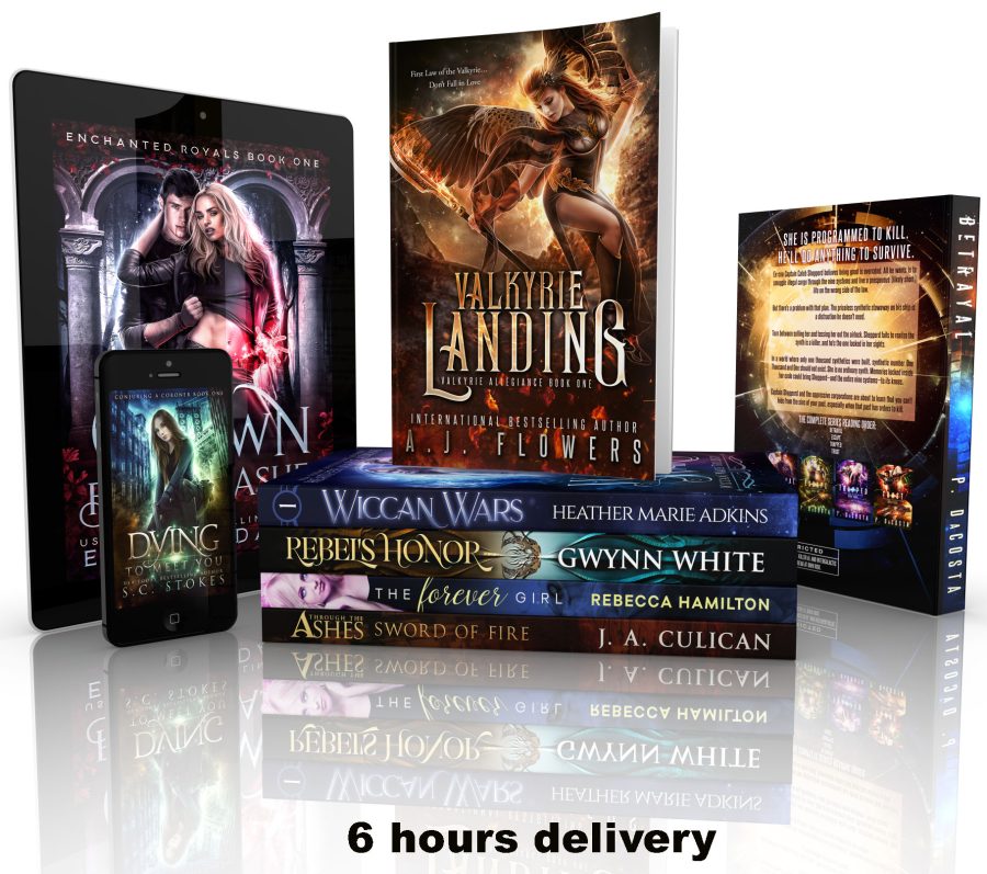I will create professional book or ebook covers in 6 hours