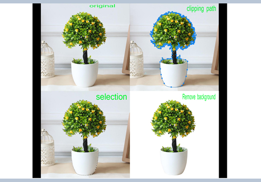 photoshop editing clipping path background removal from photo 