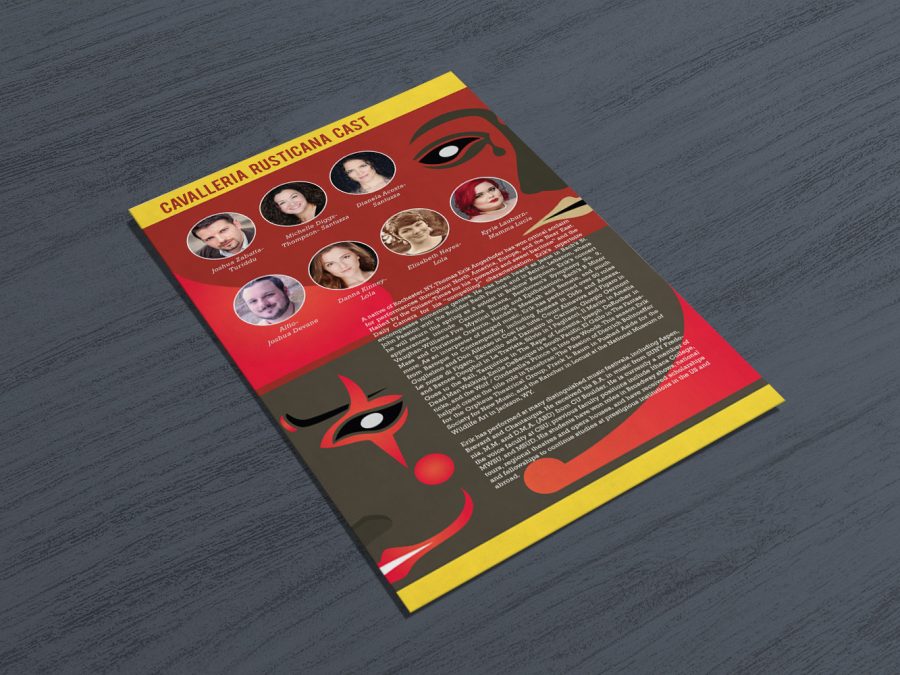 I will do a professional quality flyer for any purpose