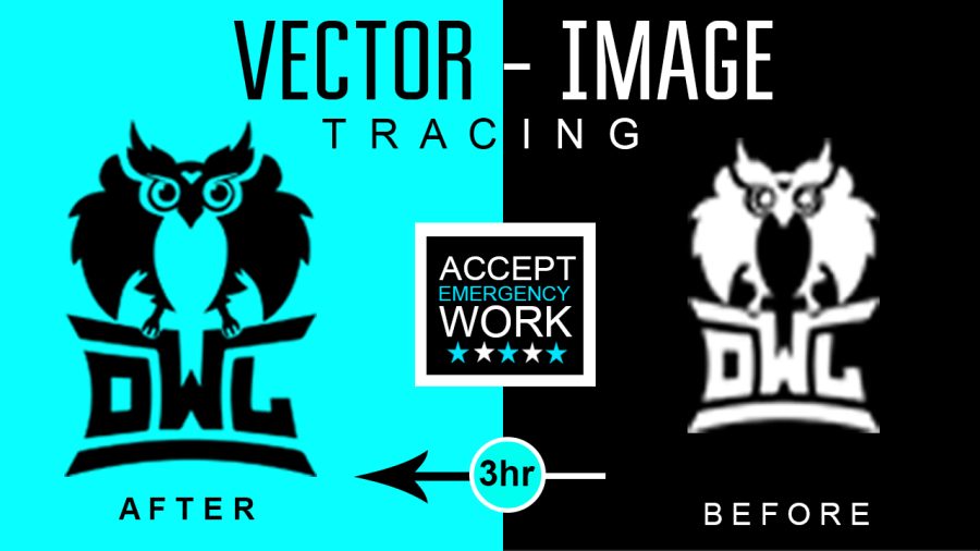 I will recreate, remake, redraw or redesign your logo in vector format 