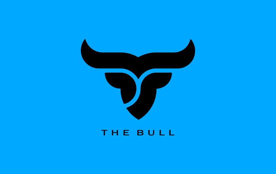 I will create professional business logo designs in 12 hours