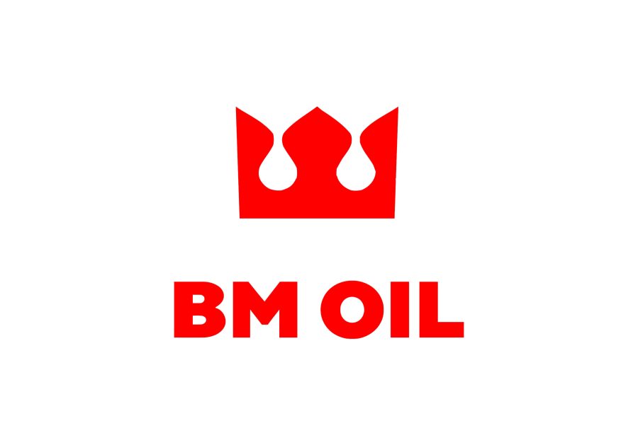 I will do modern minimalist logo design