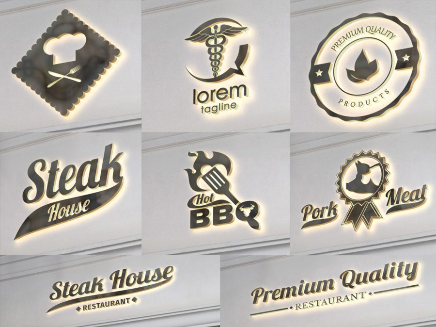 I will create professional logo design for your business website or blog