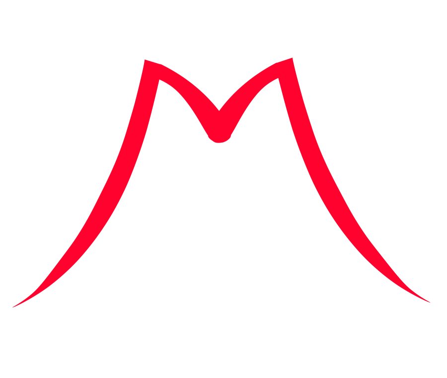 I will create best looking logo design to showcase your brand's personality