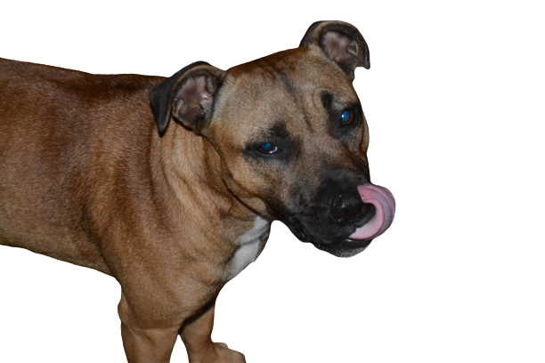 Background removal of Pictures