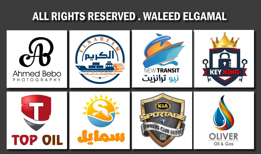 Design 2 professional logo for $5