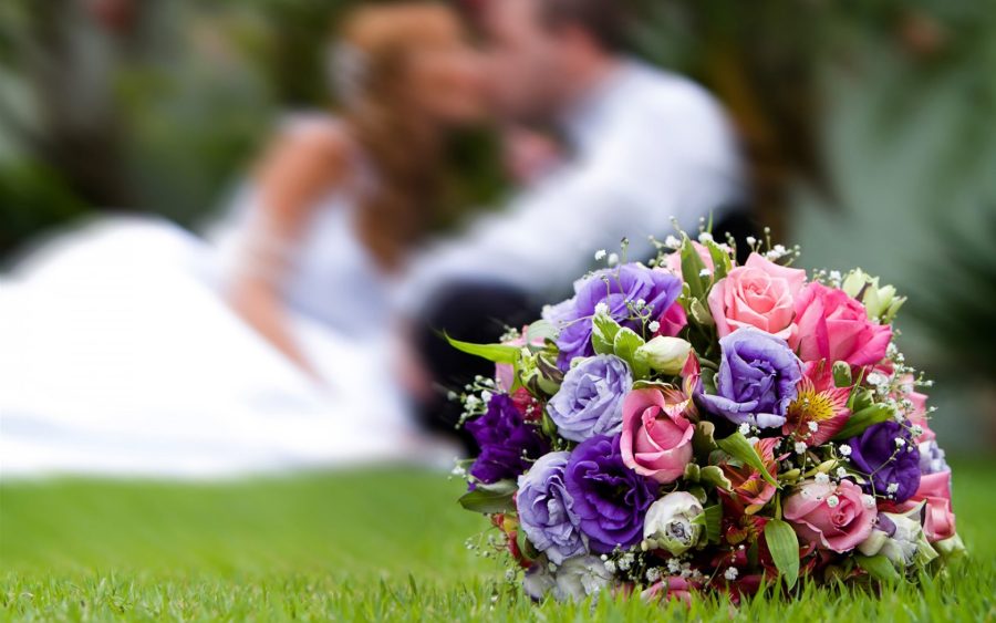 101 Wedding Royalty Free Ultra HD Stock Photos