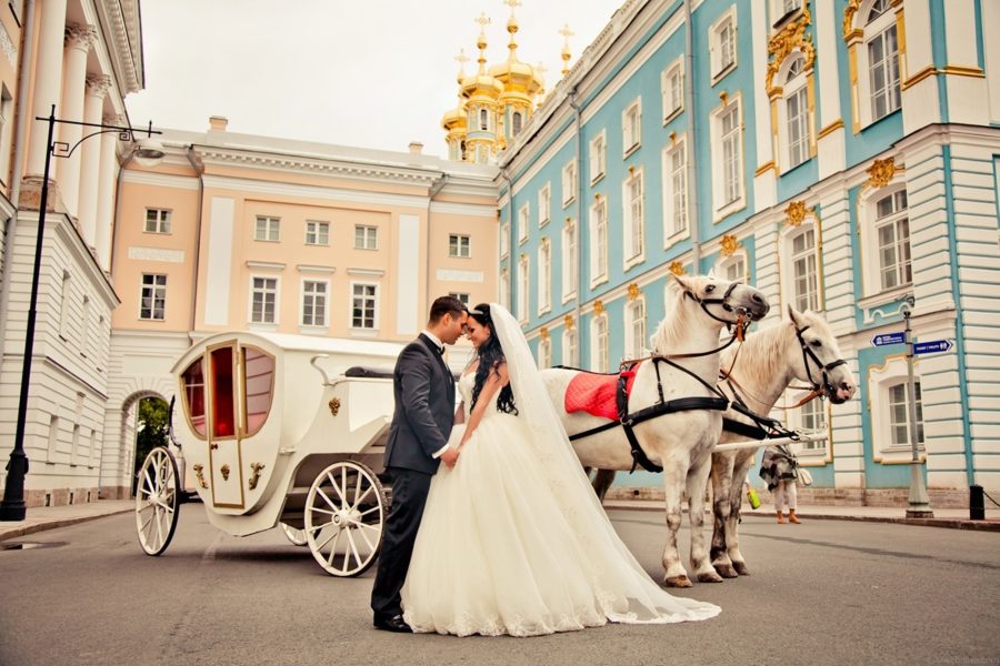 101 Wedding Royalty Free Ultra HD Stock Photos