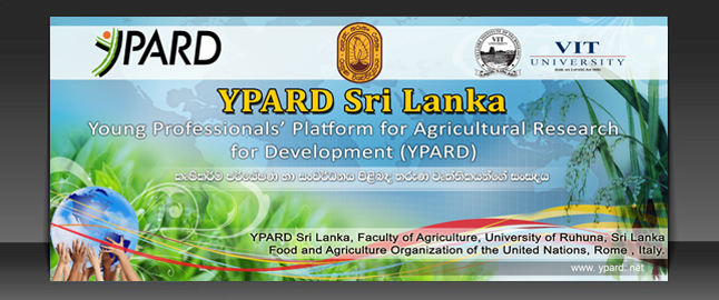 design HiGH qulity banner,header,logos,cover,web banner and any kind Hard Graphics