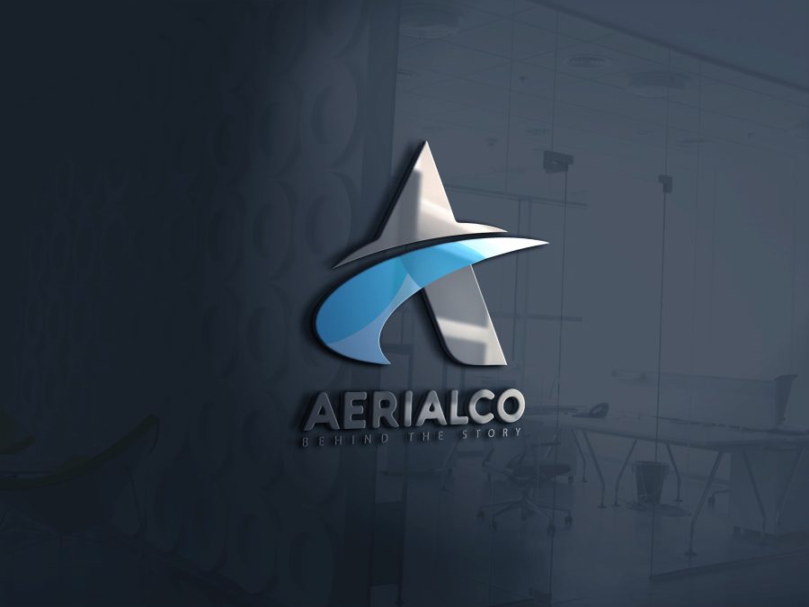 Design A Professional Logo For Your Business 