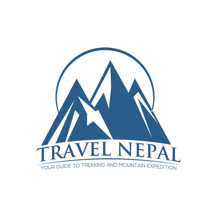 2 logo designs with two revisions