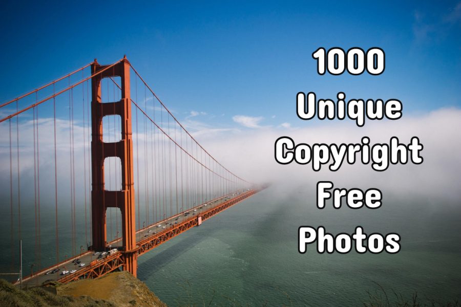 1000 Unique Stock Photos