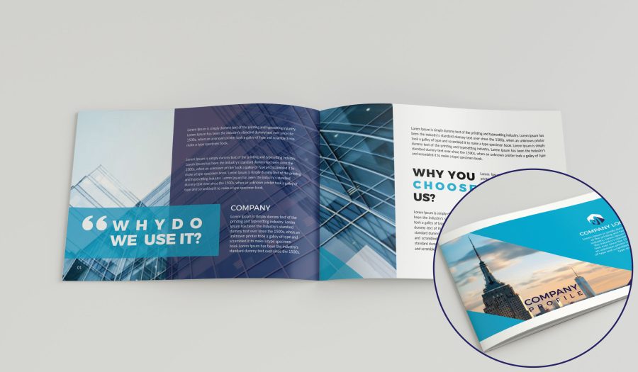I can design professional  Company Profile and Business Profile
