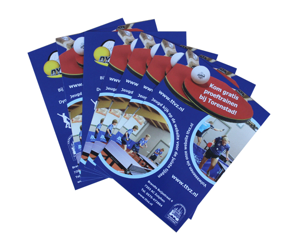 design pros brochure or flyer