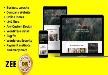 design professional business wordpress website design