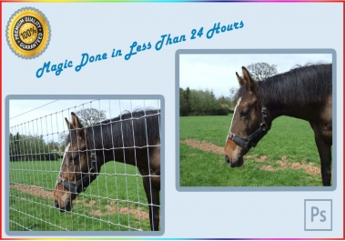 I will do photoshop edit your pictures and change text of document