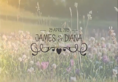 Create A Cute Wedding Invitation Video